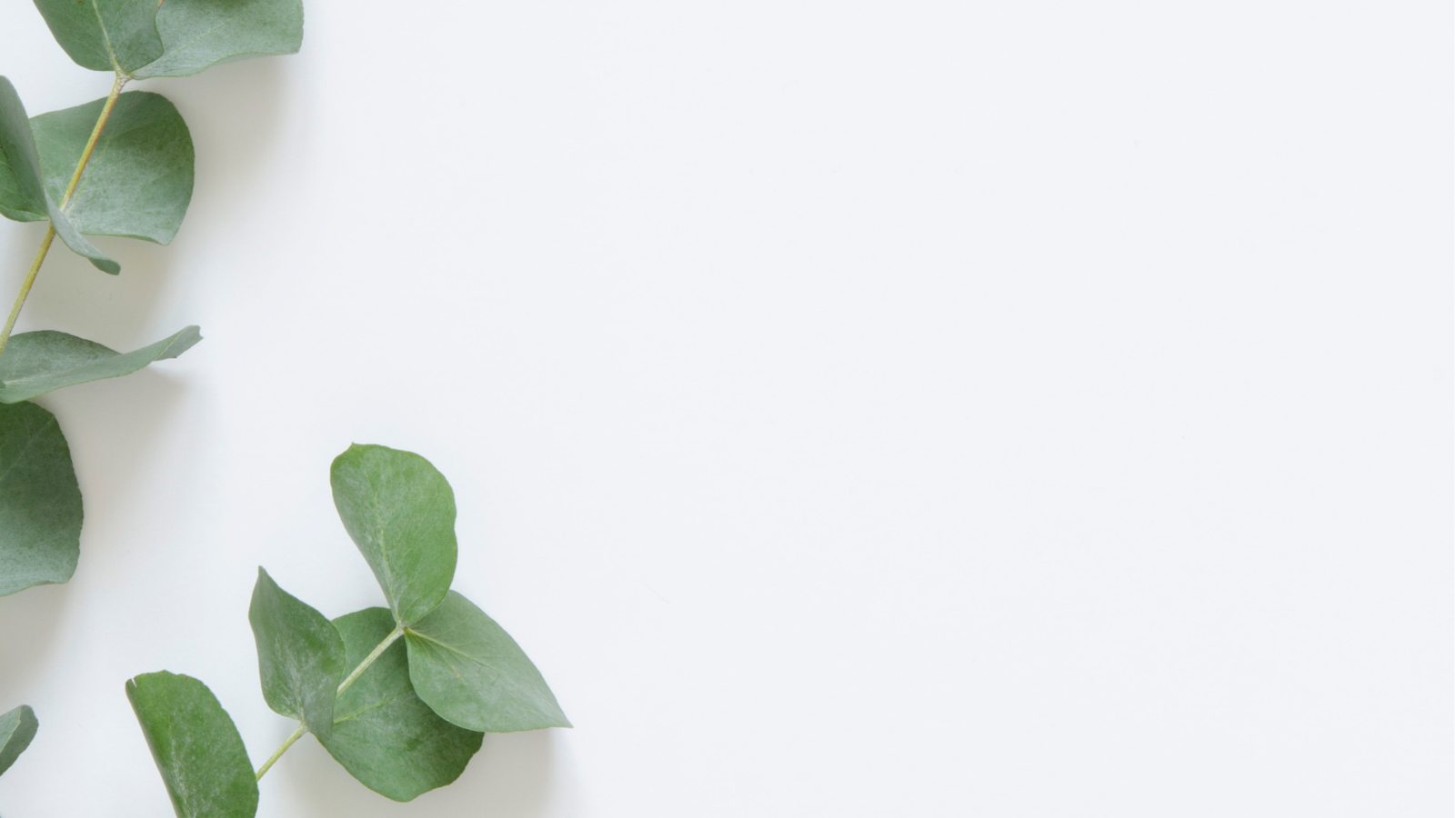 Client-friendly functional testing in Ireland – advanced blood, gut, and DNA insights at ReWell